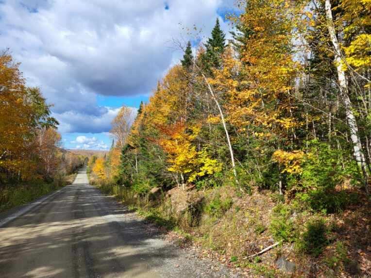 Lot 4 South Oakfield Road Oakfield, ME 04763 - Photo 14 of 16 image9