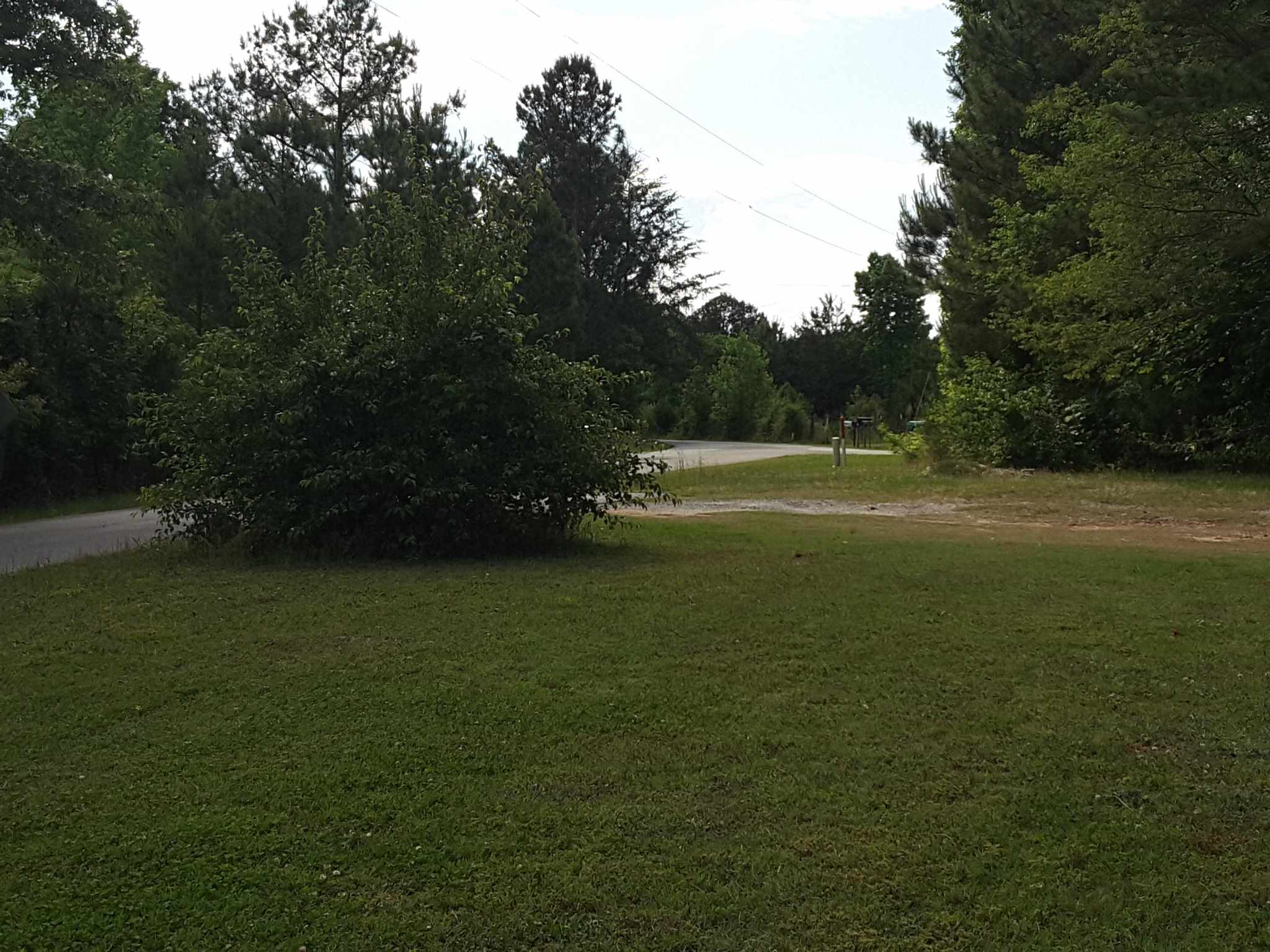 264 Sweet Gum Road Spartanburg, SC 29307 - Photo 12 of 13