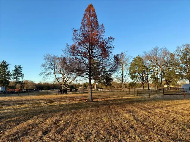 a view of backyard with outdoor space