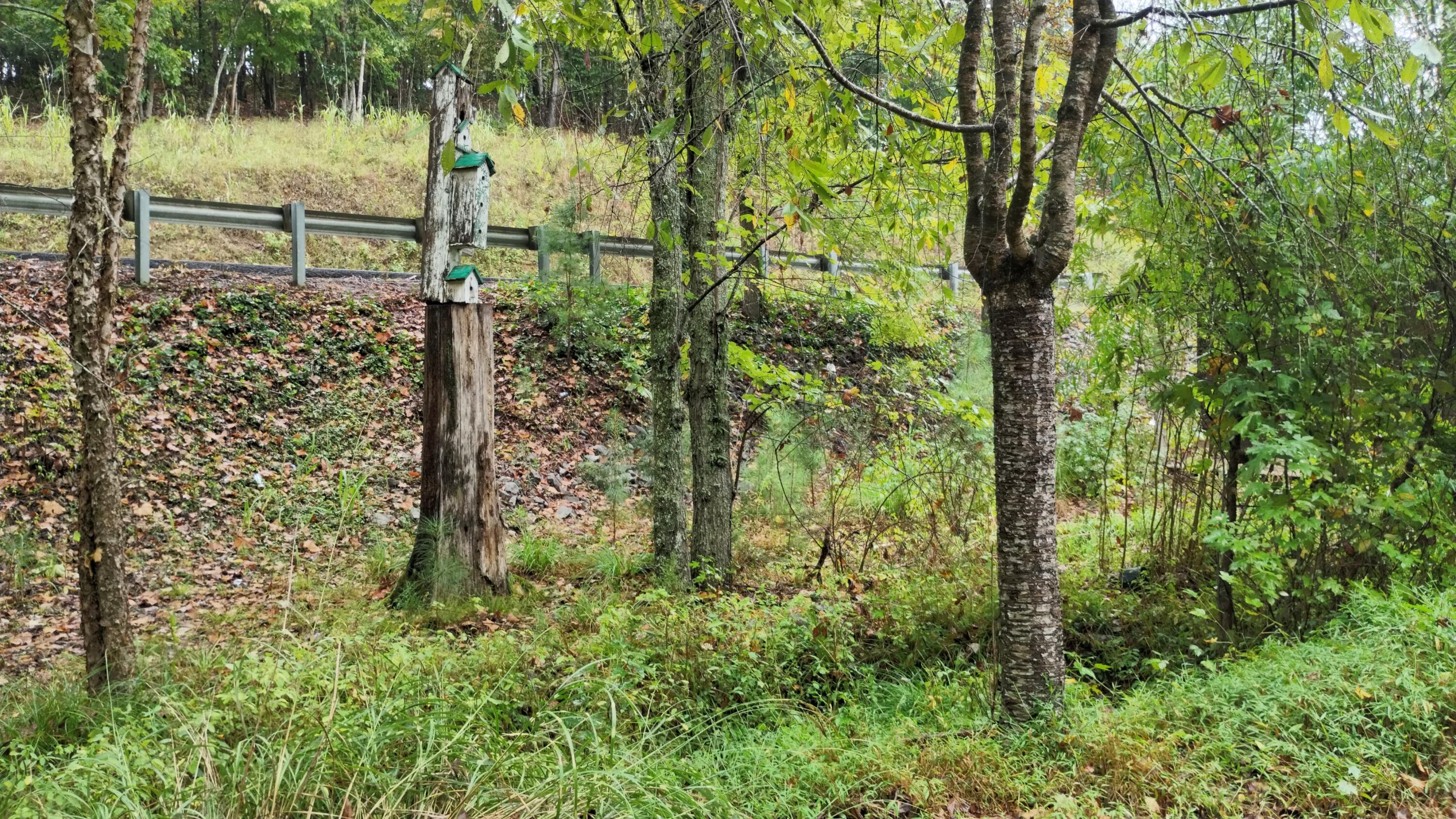 2950 Rocky Springs Road Spring City, TN 37381 - Photo 21 of 24 IMG_20240925_154248_HDR