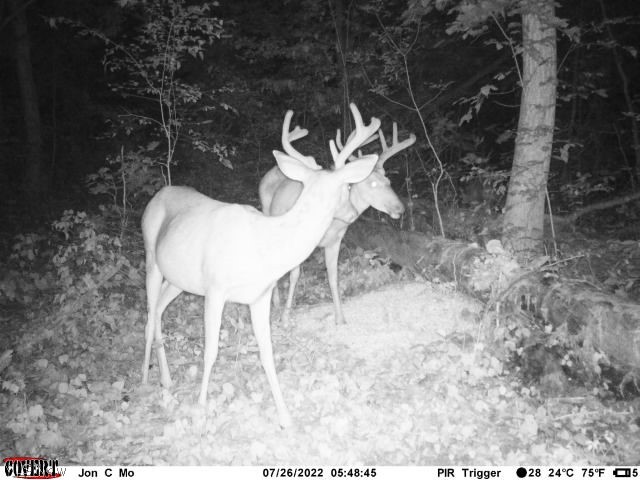 Featherstone Road Stewart, OH 45778 - Photo 33 of 35