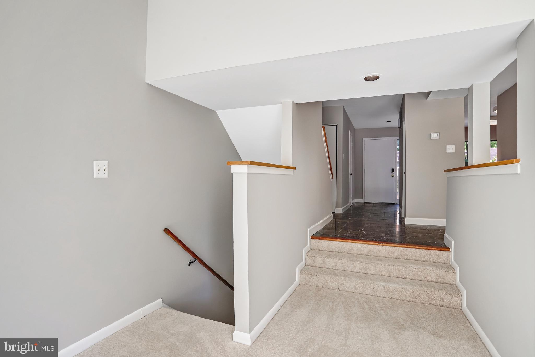 1953 Lakeport Way Reston, VA 20191 - Photo 28 of 59 stairs to lower walk out level
