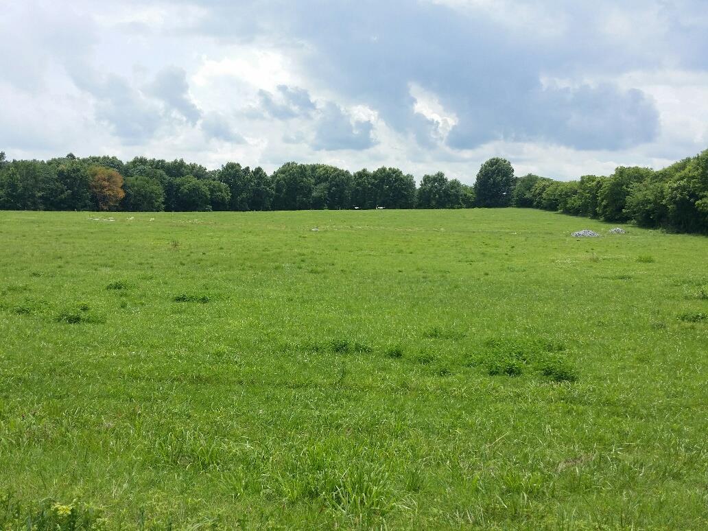 531 Tom Link Road Cottontown, TN 37048 - Photo 1 of 1 a view of a green field with wooden fence