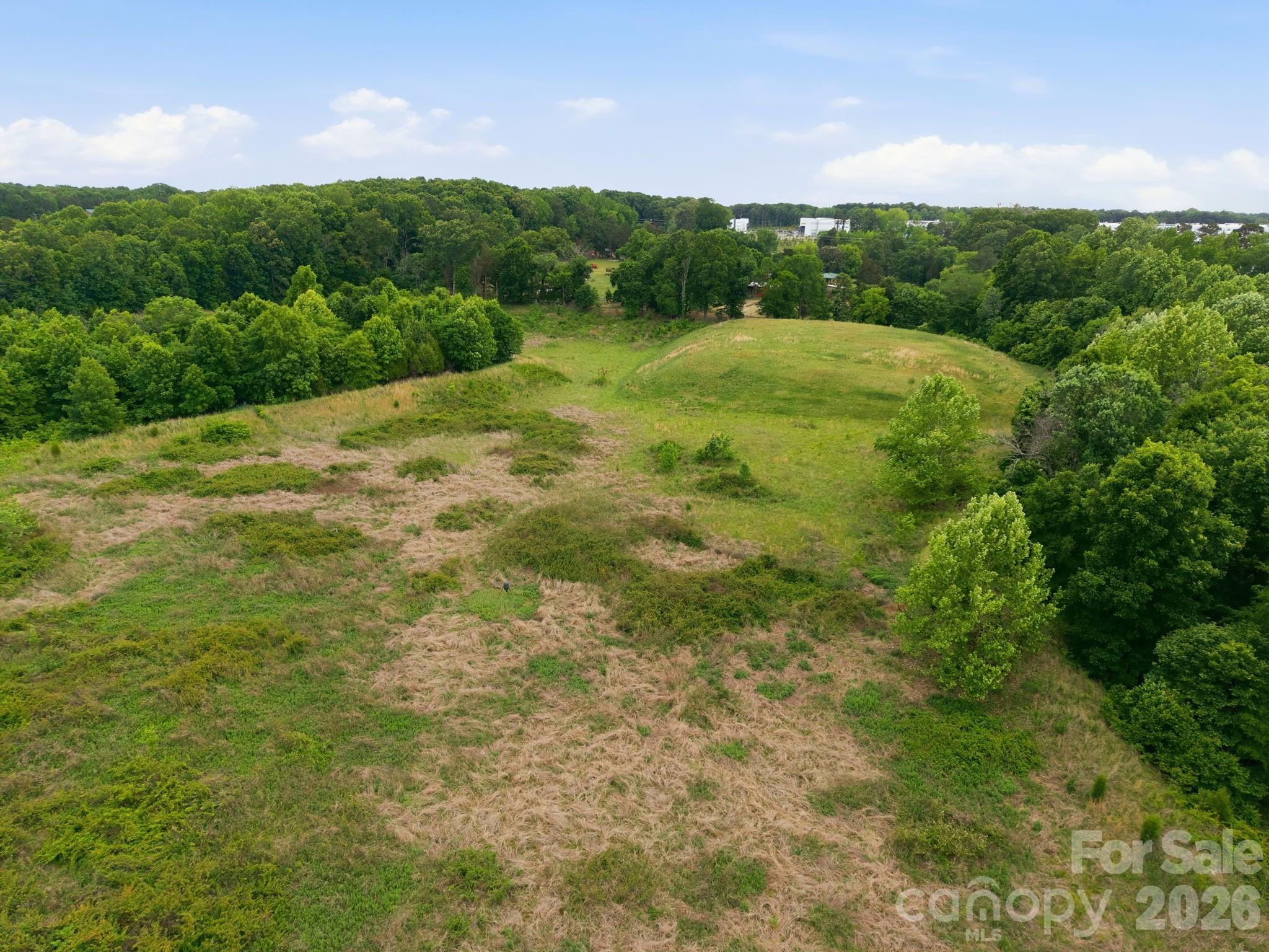 1140 Peeler Road Salisbury, NC 28146 - Photo 9 of 15 a big yard with lots of green space
