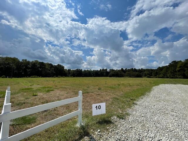 10 Austin Swamp Lane Ridgeville, SC 29472 - Photo 2 of 4 IMG_5510