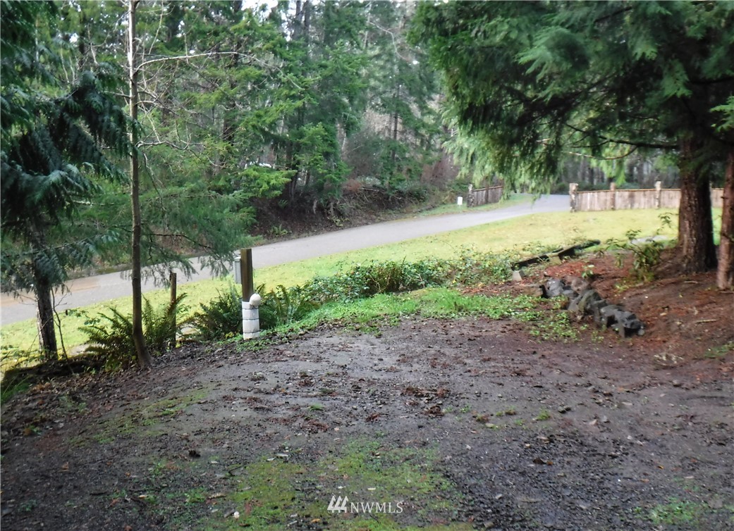 91 Wolf Road Quilcene, WA 98376 - Photo 3 of 7 Gallery Image 3