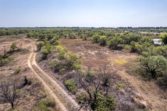 a view of a dry yard with trees