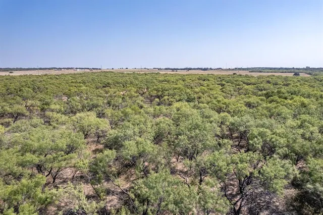 a view of a field with an ocean