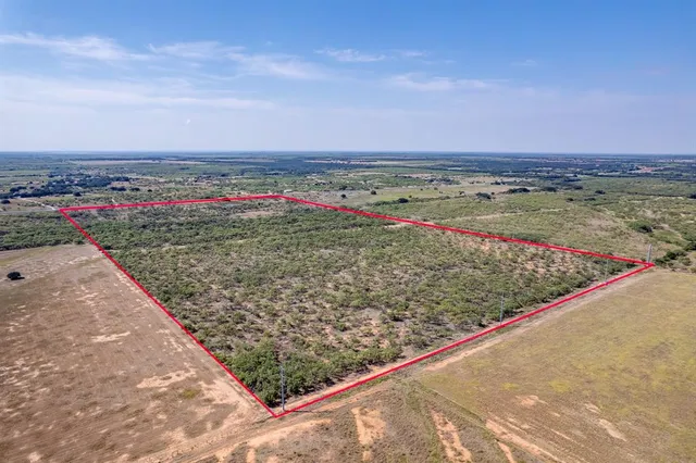 a view of hardwood and lake view