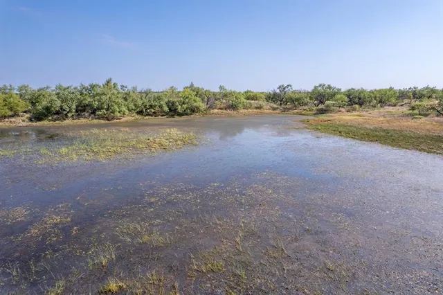a view of a lake with houses in background
