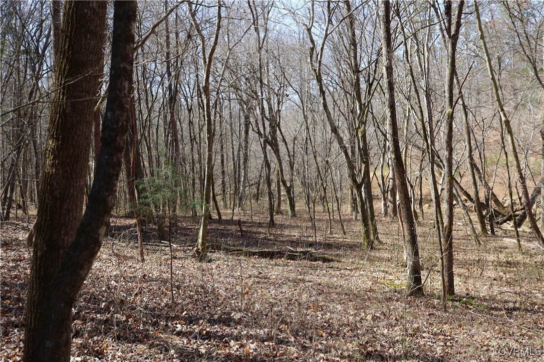 0 Golf Course Road Halifax, VA 24558 - Photo 12 of 50 Gallery Image 12