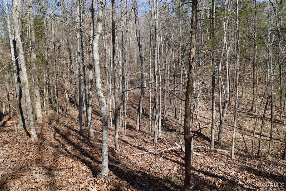 0 Golf Course Road Halifax, VA 24558 - Photo 17 of 50 Gallery Image 17