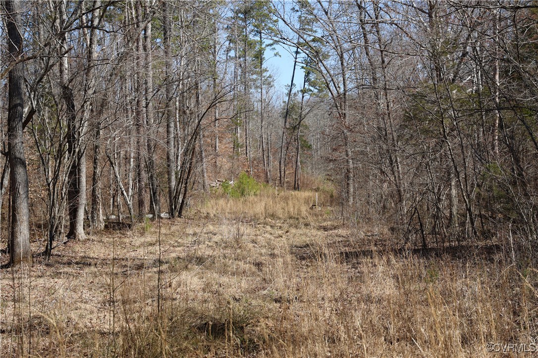 0 Golf Course Road Halifax, VA 24558 - Photo 19 of 50 Gallery Image 19