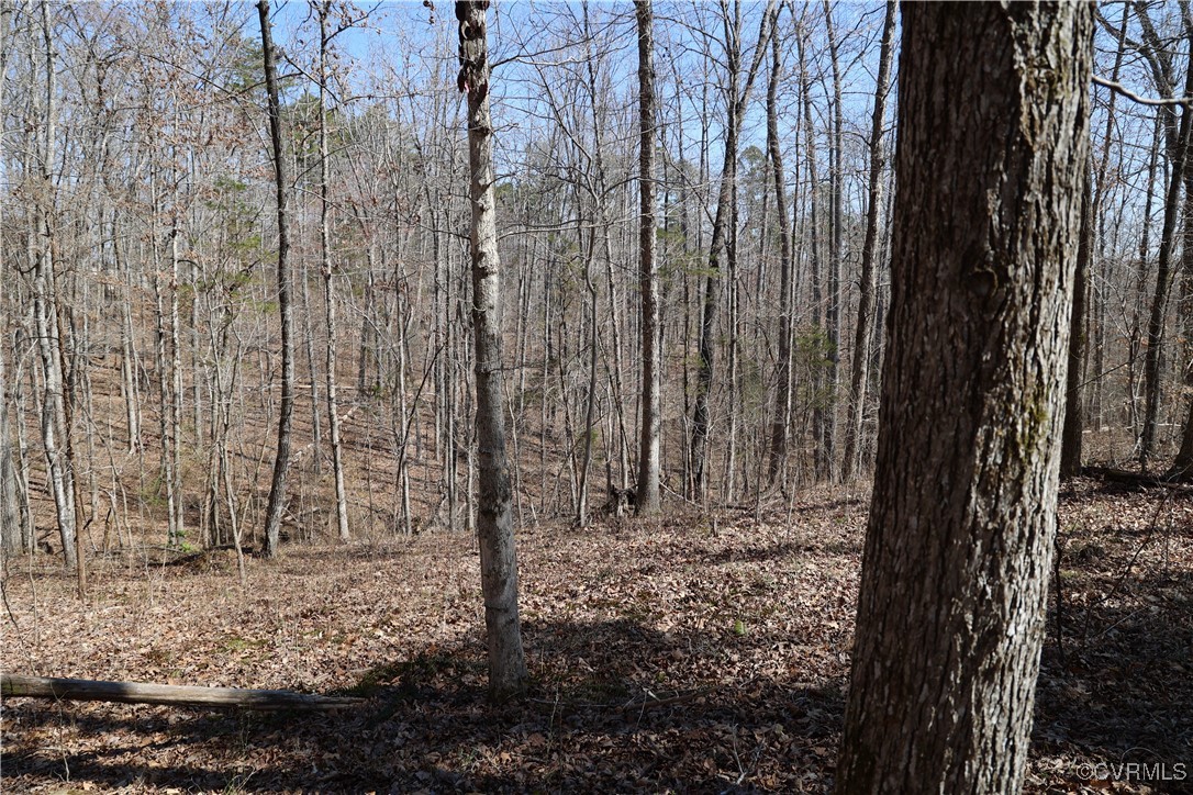 0 Golf Course Road Halifax, VA 24558 - Photo 2 of 50 Gallery Image 2