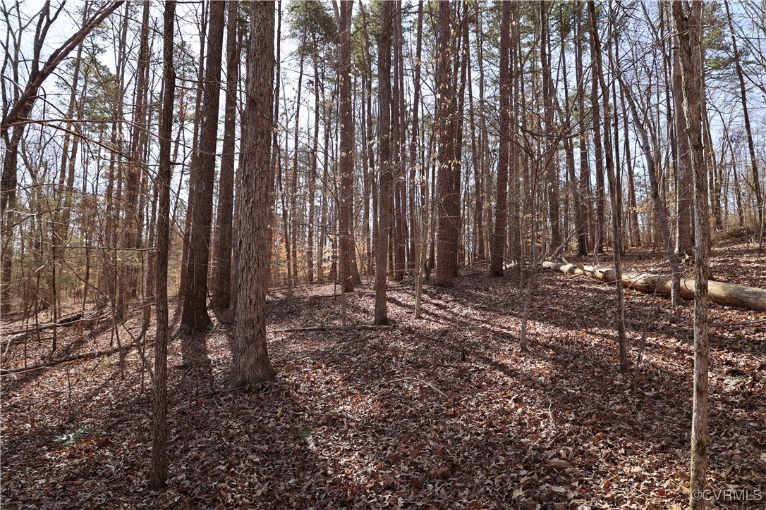 0 Golf Course Road Halifax, VA 24558 - Photo 21 of 50 Gallery Image 21