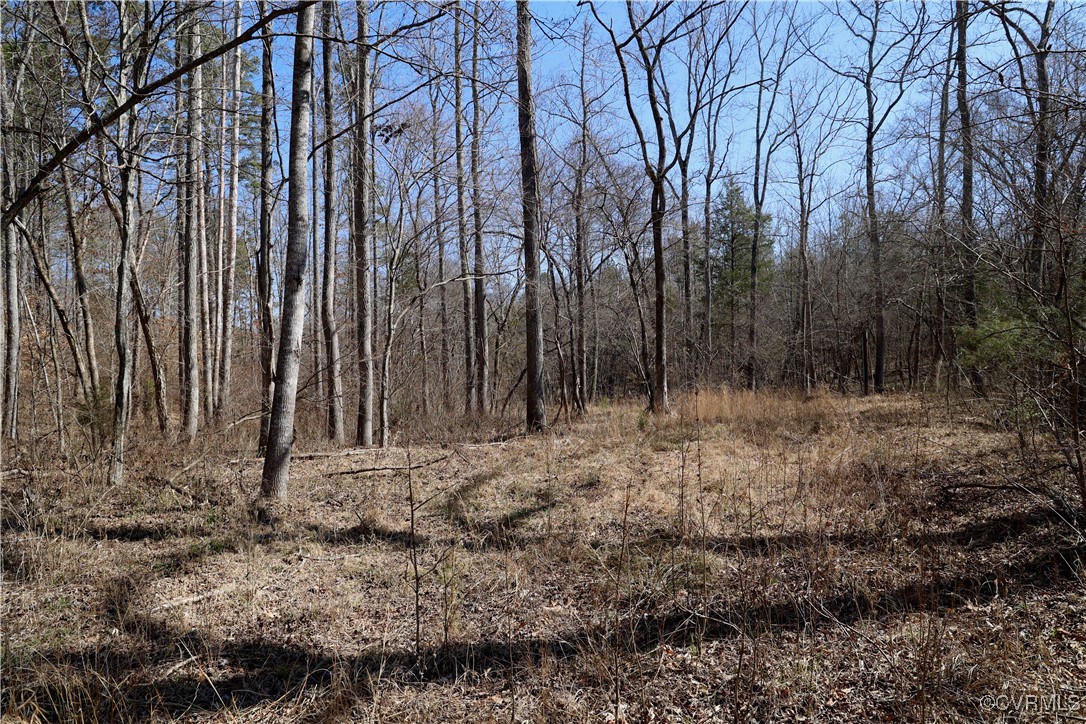 0 Golf Course Road Halifax, VA 24558 - Photo 29 of 50 Gallery Image 29