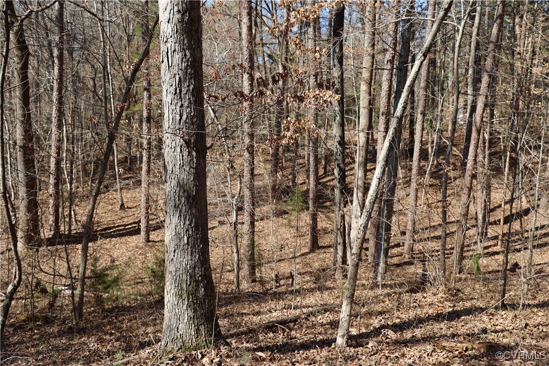 0 Golf Course Road Halifax, VA 24558 - Photo 32 of 50 Gallery Image 32