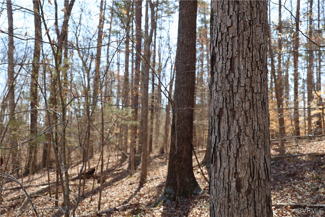 0 Golf Course Road Halifax, VA 24558 - Photo 4 of 50 Gallery Image 4
