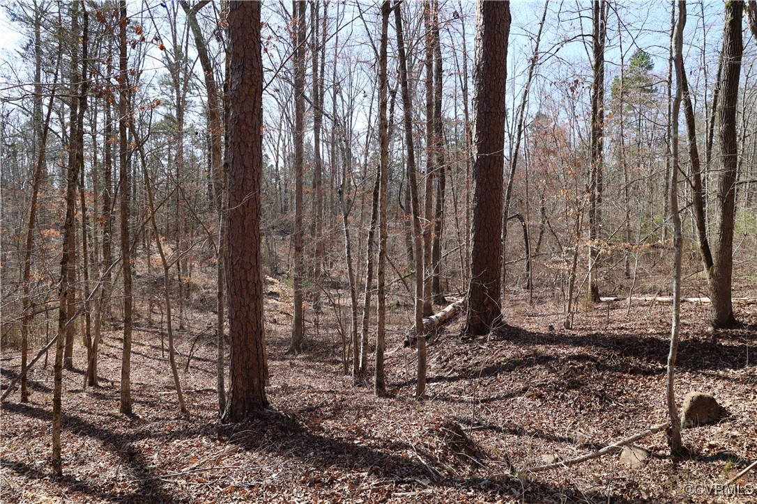 0 Golf Course Road Halifax, VA 24558 - Photo 45 of 50 Gallery Image 45
