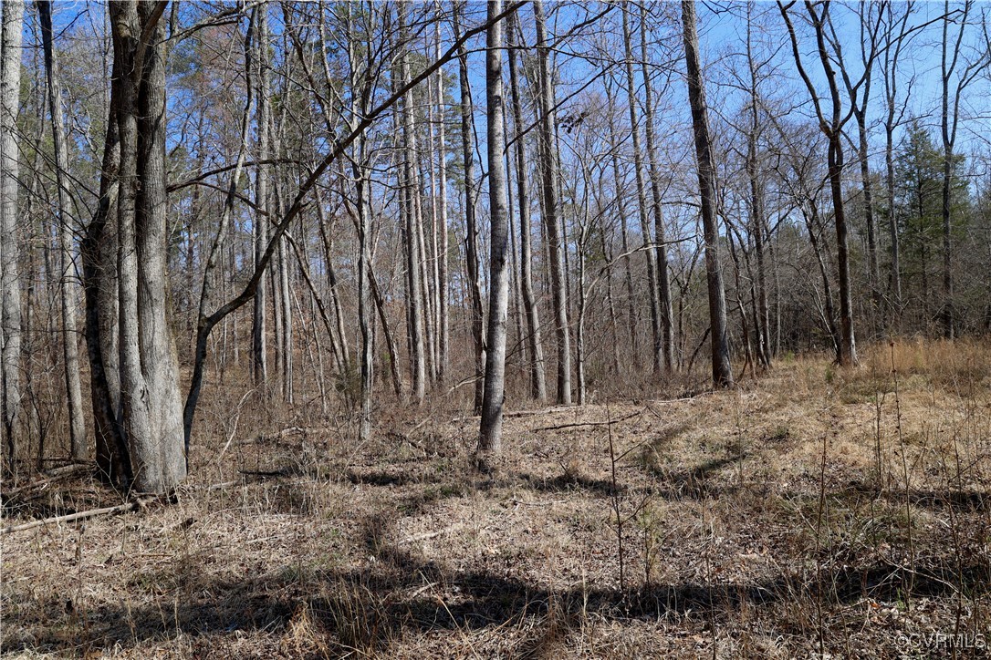 0 Golf Course Road Halifax, VA 24558 - Photo 46 of 50 Gallery Image 46
