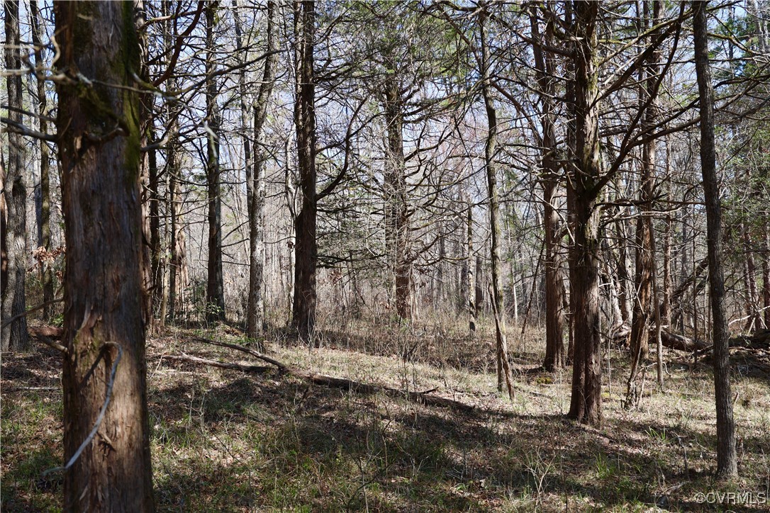 0 Golf Course Road Halifax, VA 24558 - Photo 10 of 50 Gallery Image 10