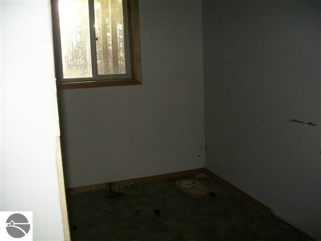 3843 South Alamando Road St. Louis, MI 48880 - Photo 39 of 62 1744471-40.JPG