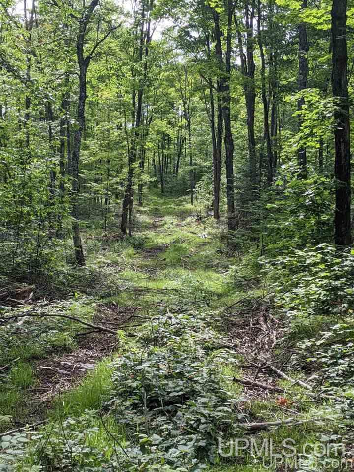 Ffr 4584 Forest Road Iron River, MI 49935 - Photo 10 of 12