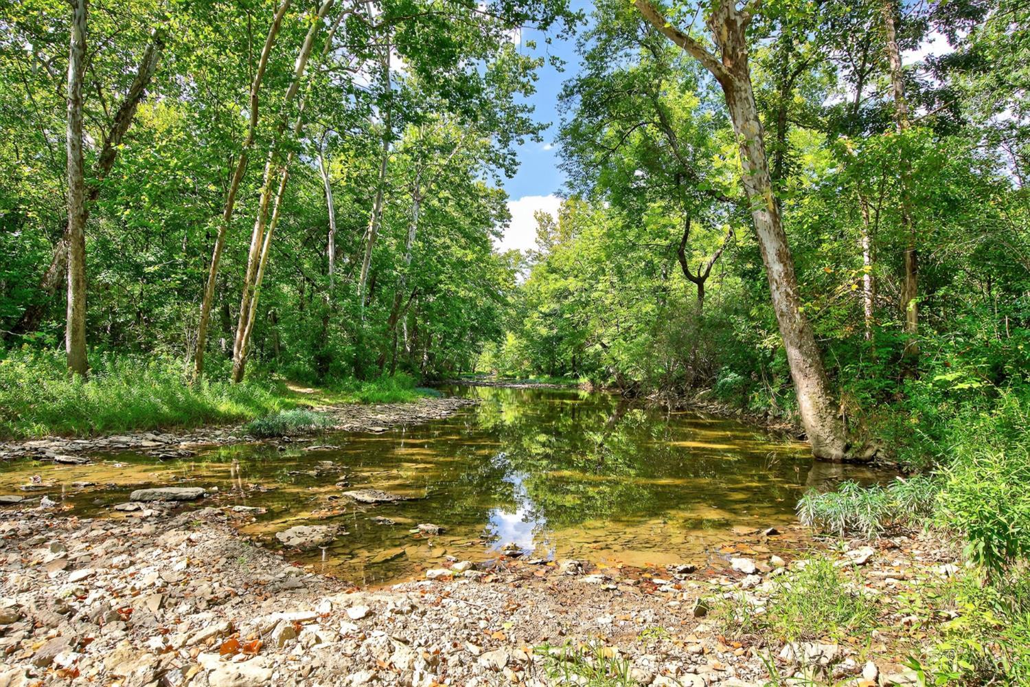15418 Boyd Road Dillsboro, IN 47018 - Photo 79 of 83 Gallery Image 79