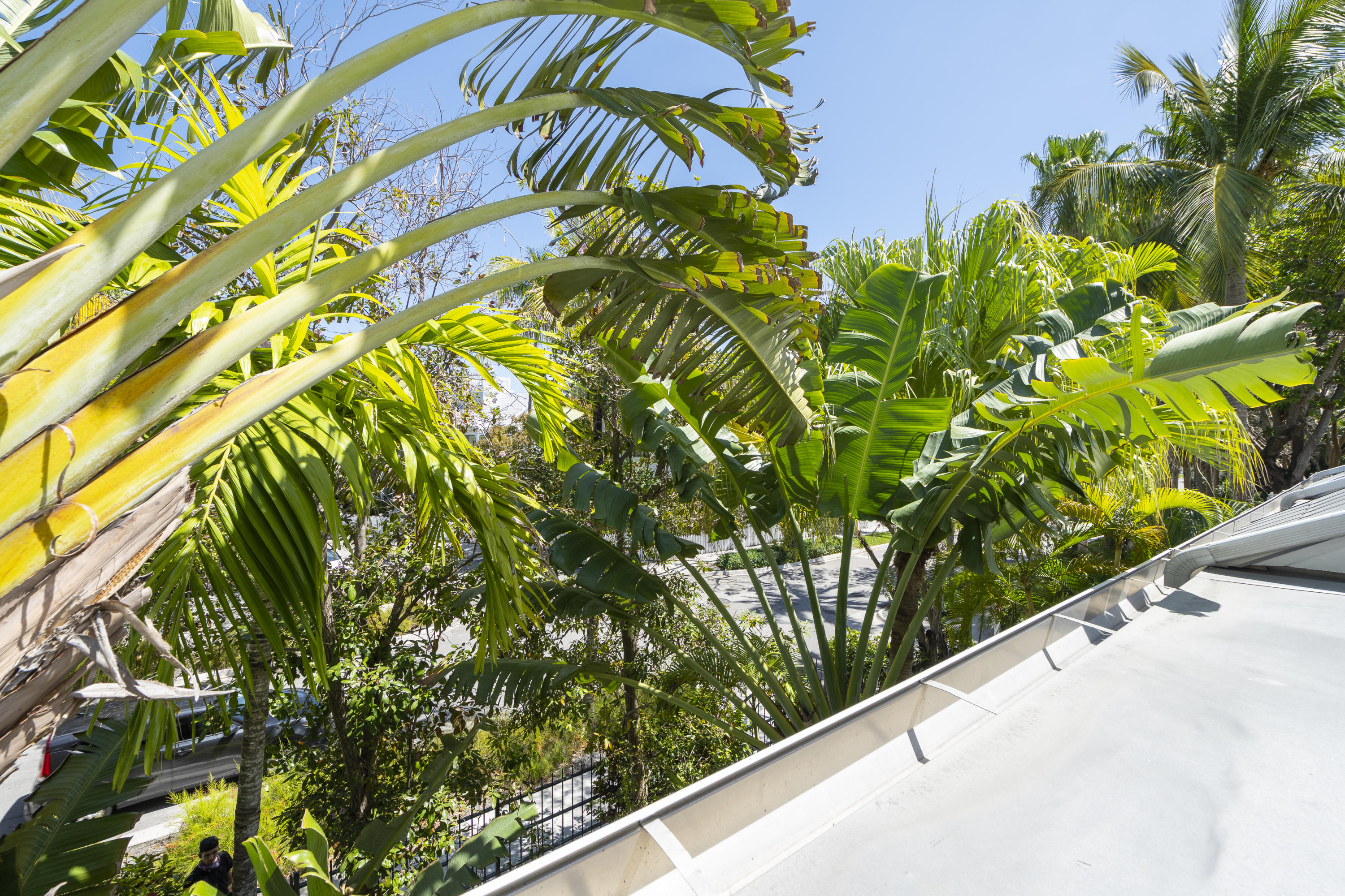 101 Front Street, Unit 5 Key West, FL 33040 - Photo 17 of 36 a view of a garden