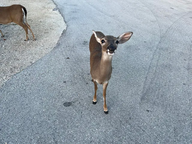 a close view of sink