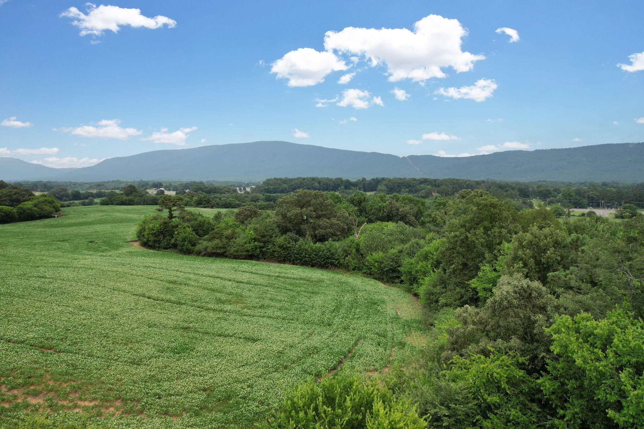 326 McClure Road Benton, TN 37307 - Photo 45 of 47 14-web-or-mls-DJI_0460