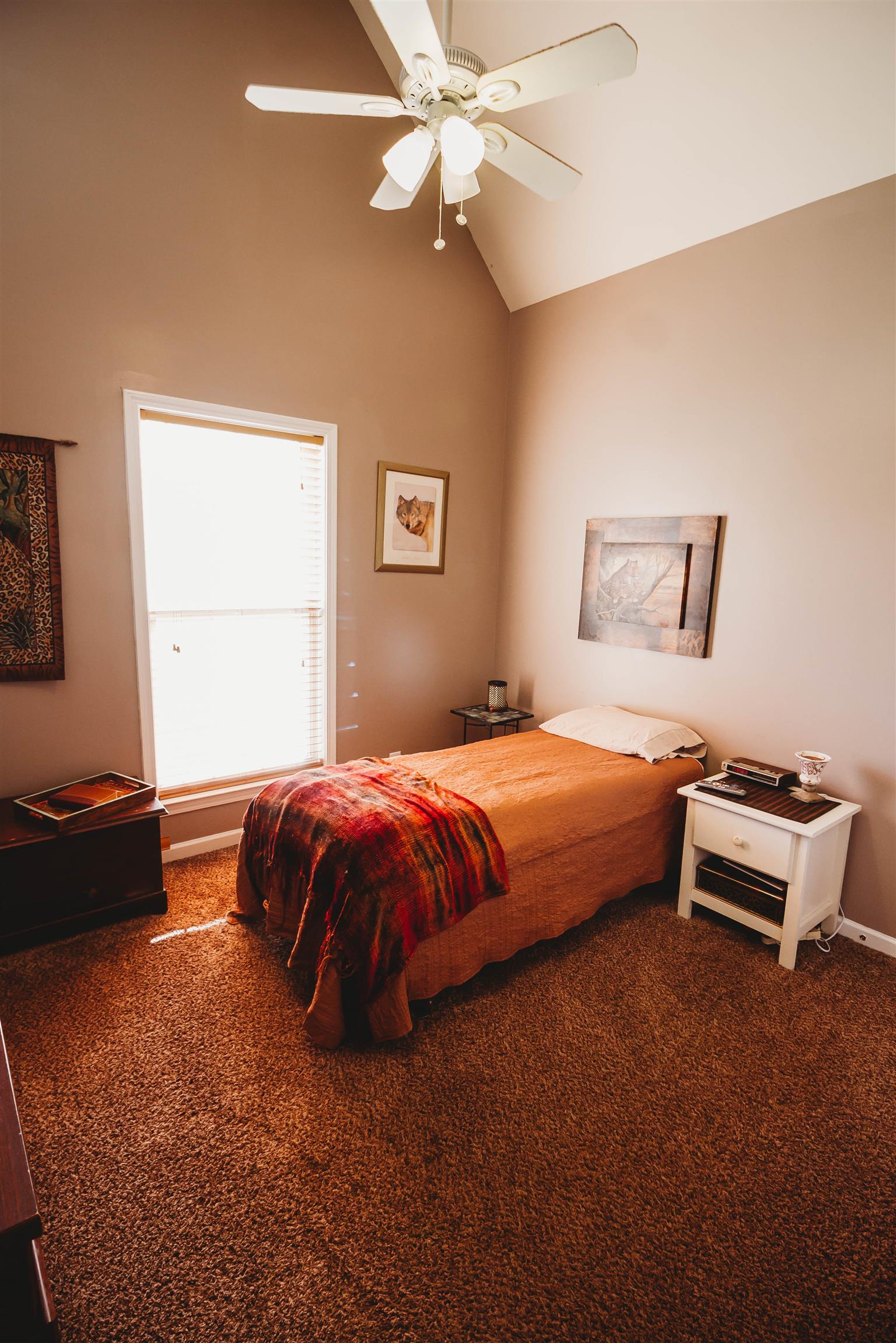 1515 Ripken Court Murfreesboro, TN 37129 - Photo 13 of 24 2nd Bedroomhas a vaulted ceiling and plenty of closet space/easy access to 2nd bathroom right next door.