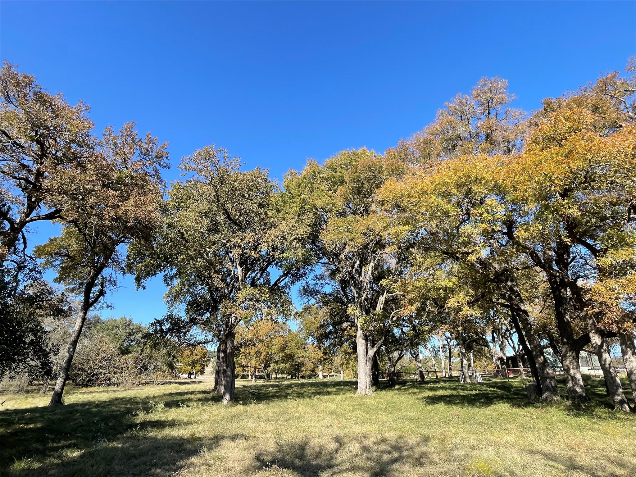 121 Dog Run Burnet, TX 78611 - Photo 4 of 40