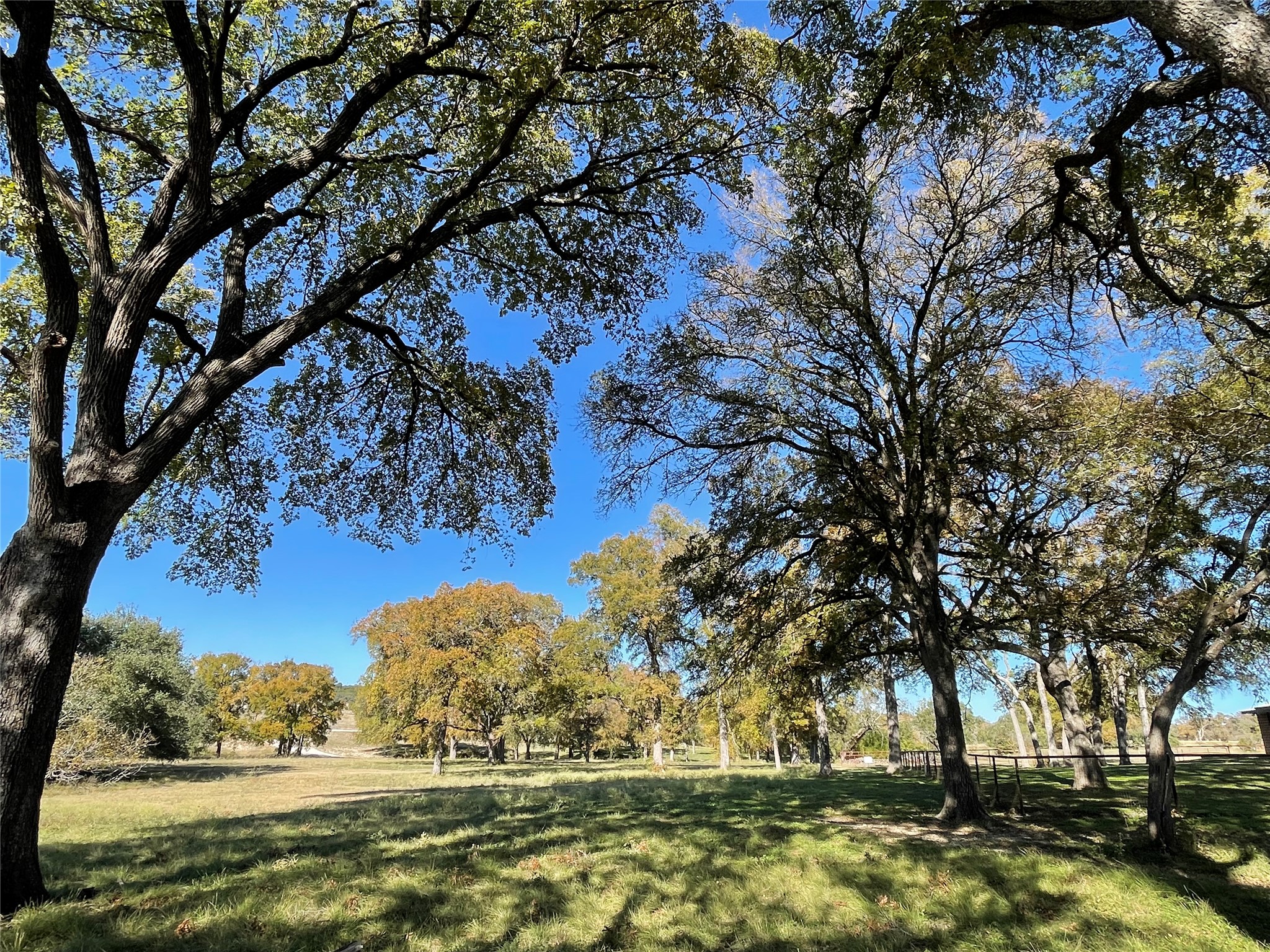 121 Dog Run Burnet, TX 78611 - Photo 5 of 40