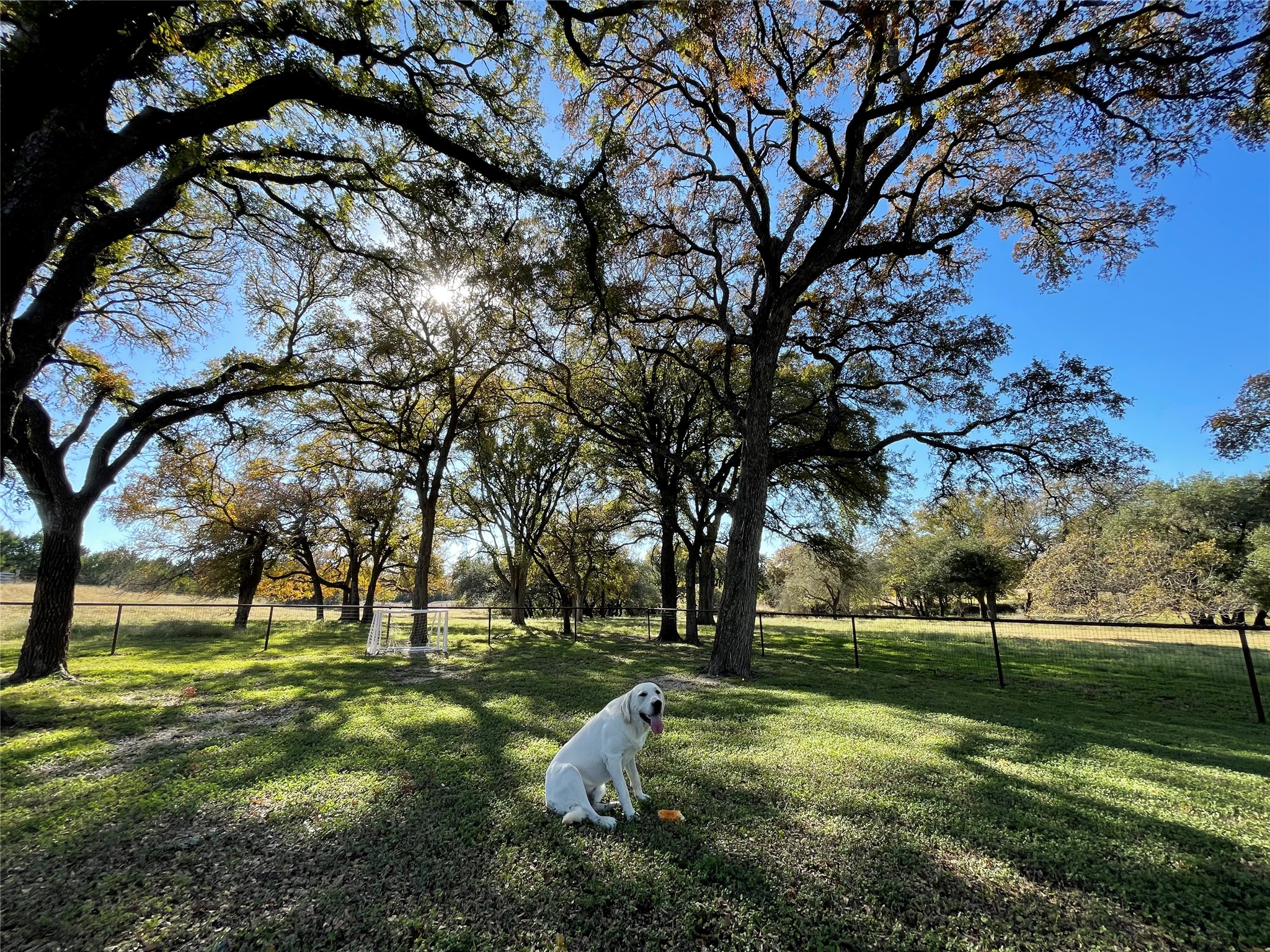 121 Dog Run Burnet, TX 78611 - Photo 7 of 40