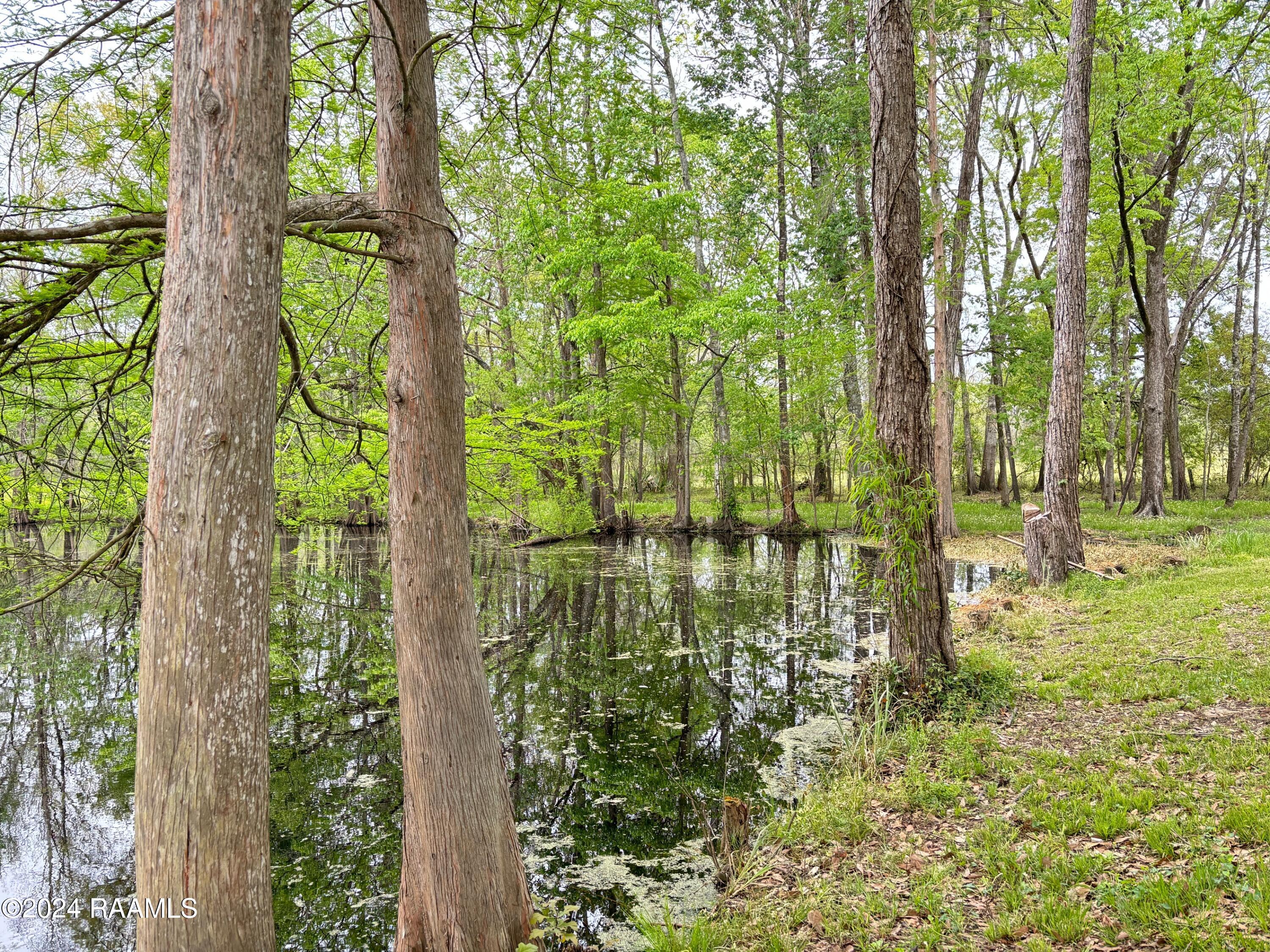 109 Springfield Road Carencro, LA 70520 - Photo 11 of 18 Pond