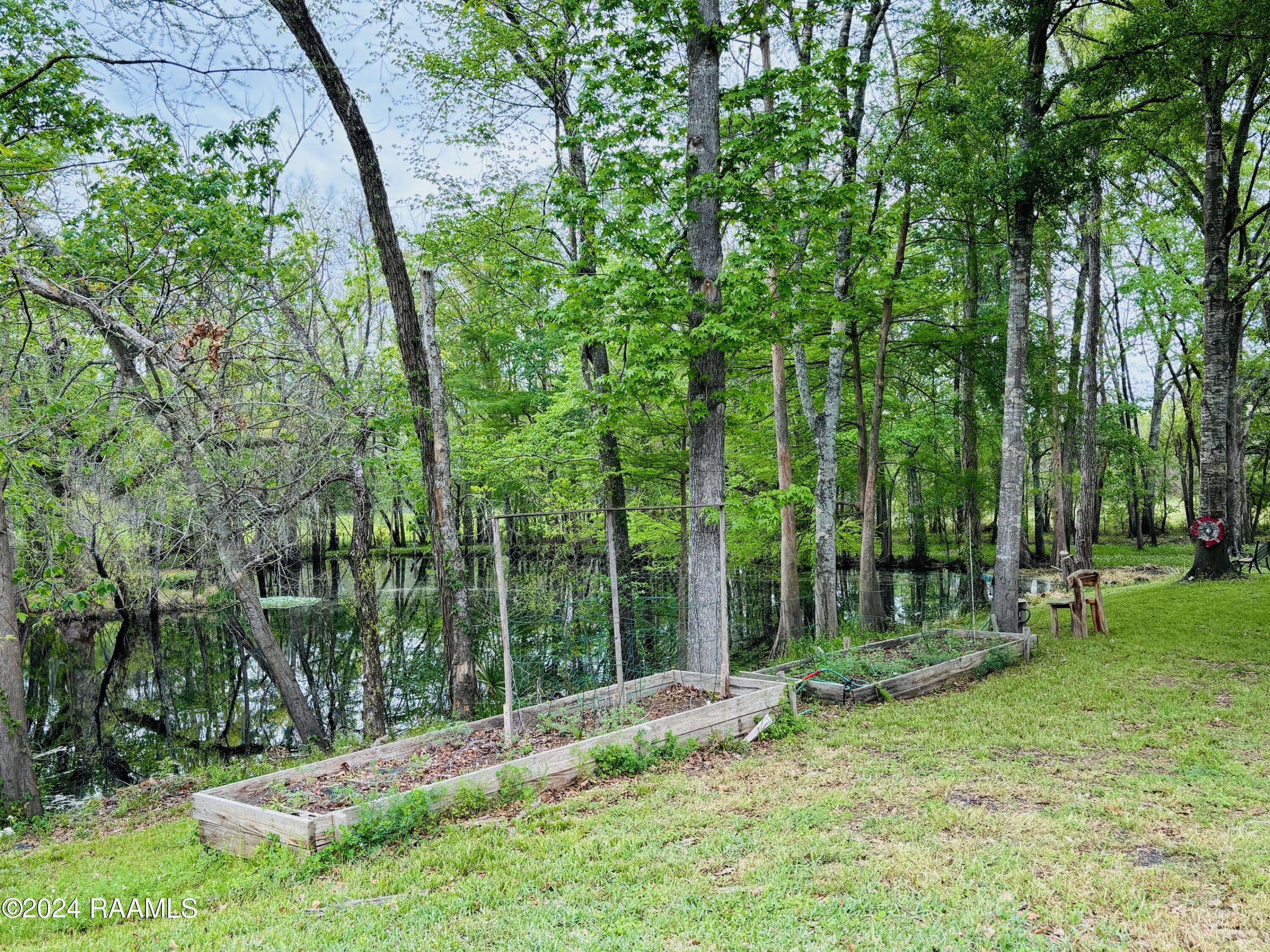 109 Springfield Road Carencro, LA 70520 - Photo 13 of 18 Pond with Raised Bed Gardens