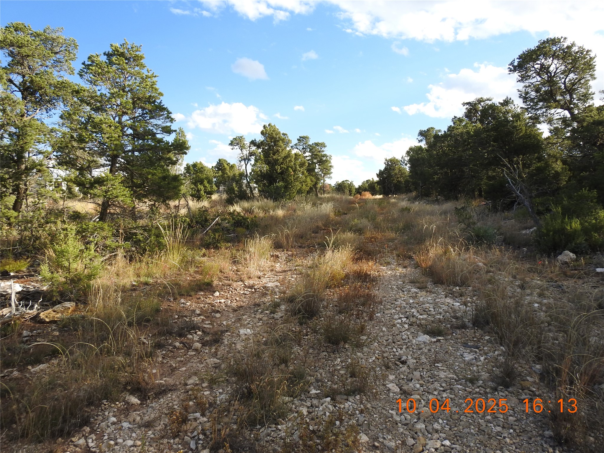 129 Tierra De Dios Ribera, NM 87560 - Photo 10 of 23