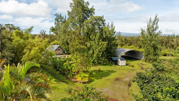 a view of a garden with plants and large trees