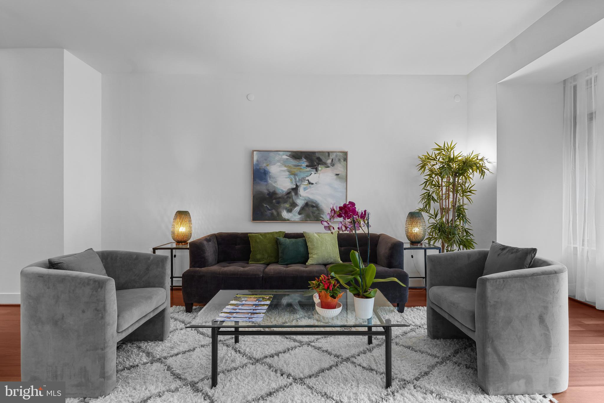 2425 L Street Northwest, Unit 431 Washington, DC 20037 - Photo 8 of 29 a living room with furniture and a potted plant