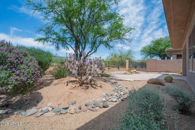 a view of a yard with a tree