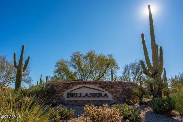 a view of a backyard with plants