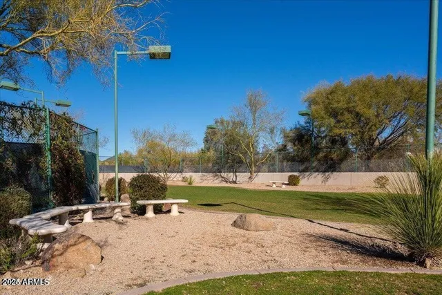 a view of a yard with plants and a large tree