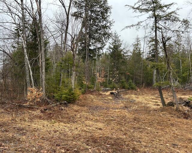 2-2 Tate Road Corinth, ME 04427 - Photo 1 of 11 image4 (6)