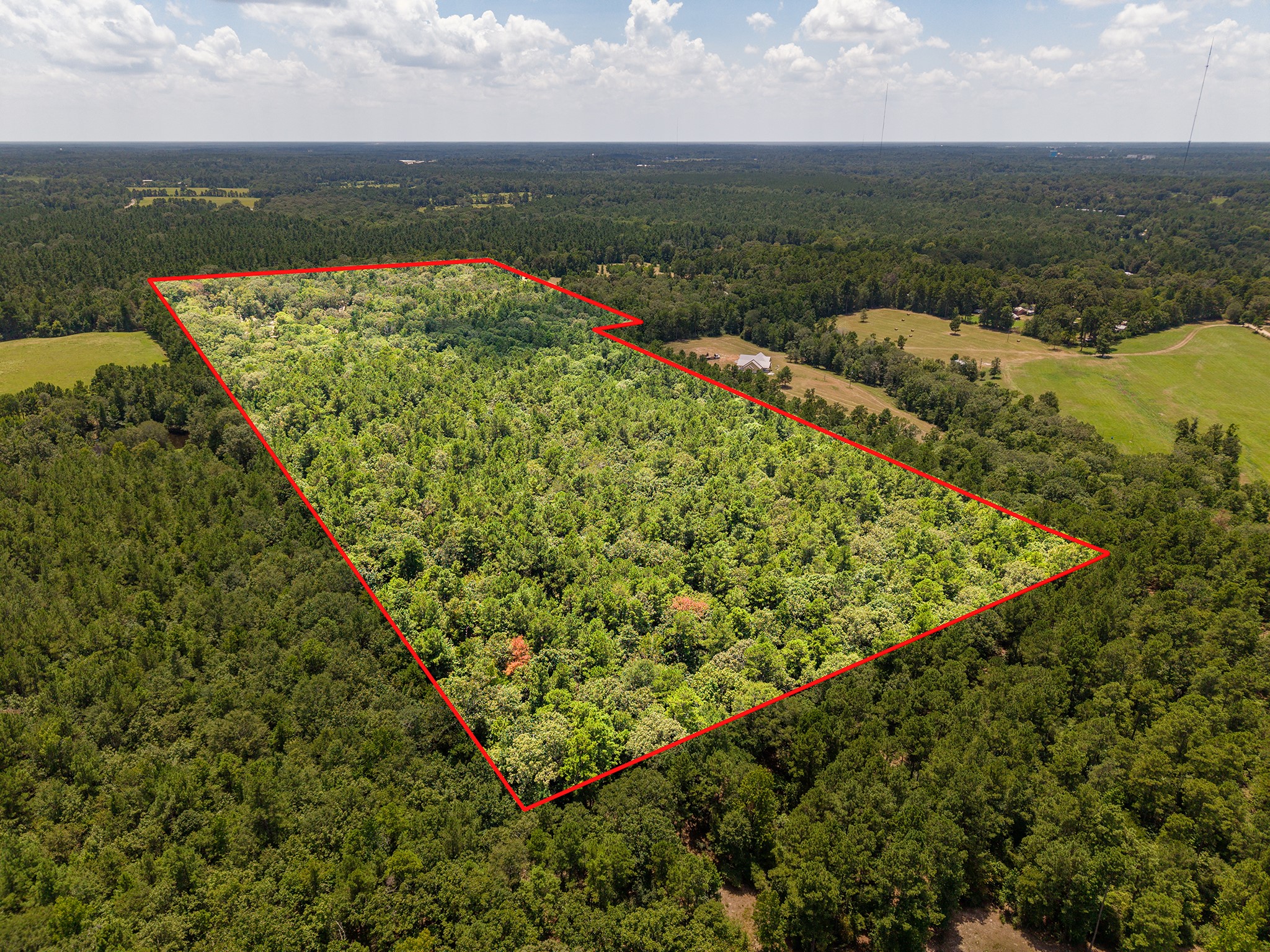 1647 Whitehead Road Lufkin, TX 75901 - Photo 3 of 13 Gallery Image 3