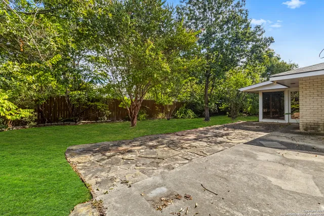 a view of a yard with plants and trees