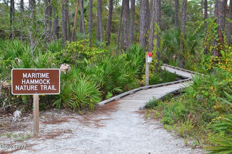 Lot 1 Haven Road Port St. Joe, FL 32456 - Photo 15 of 16
