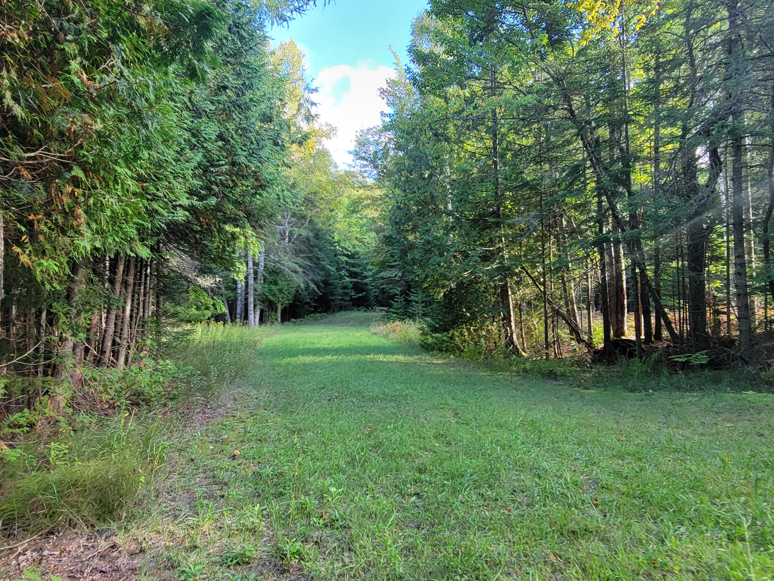 Lot 1 Brevort Camp Road Moran, MI 49760 - Photo 30 of 66 Gallery Image 30