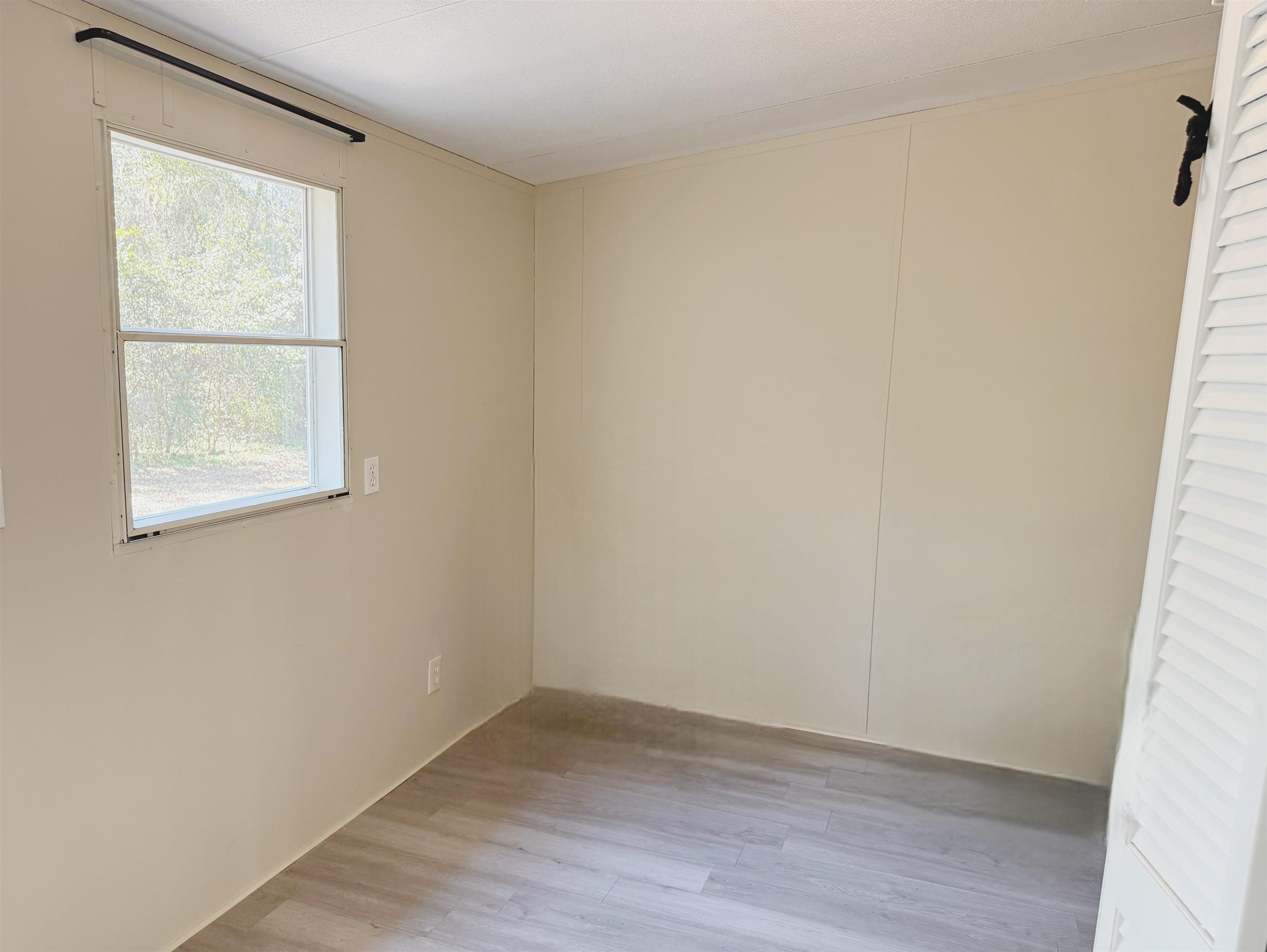 337 Shadeville Road Crawfordville, FL 32327 - Photo 2 of 38