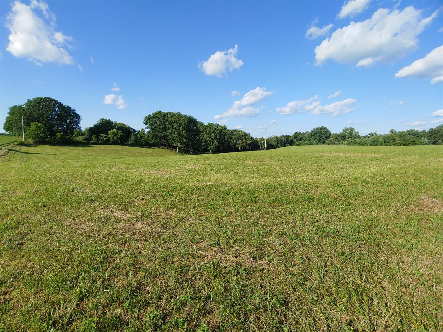 988 County Farm Road, Unit 3 London, KY 40741 - Photo 3 of 6 Photo 3